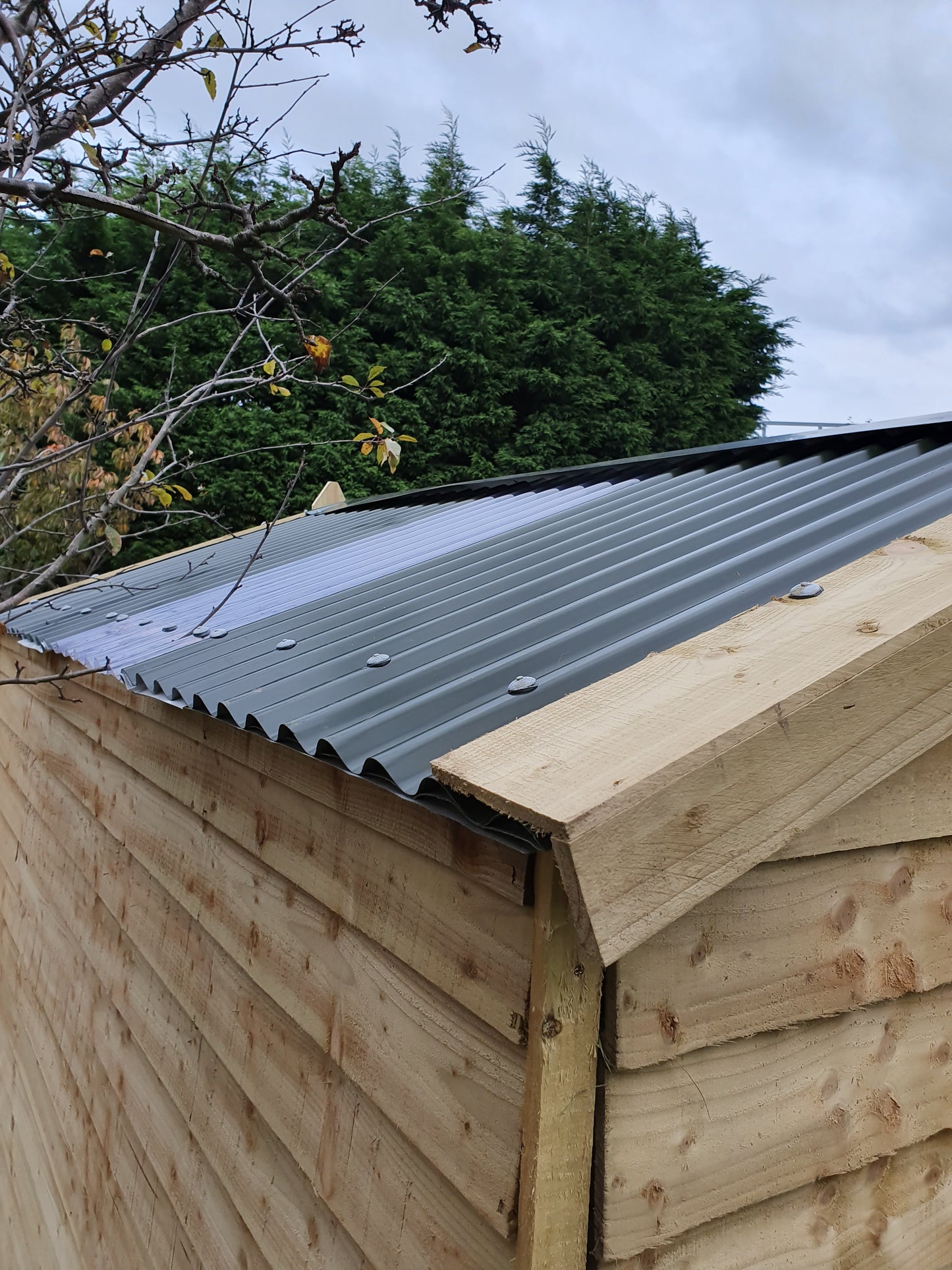 12ft x 6ft Rustic Storm Force Shed - 2 windows